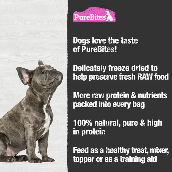 Pure Bites - Freeze Dried SALMON Dog Treats - 33GM (1.16oz)