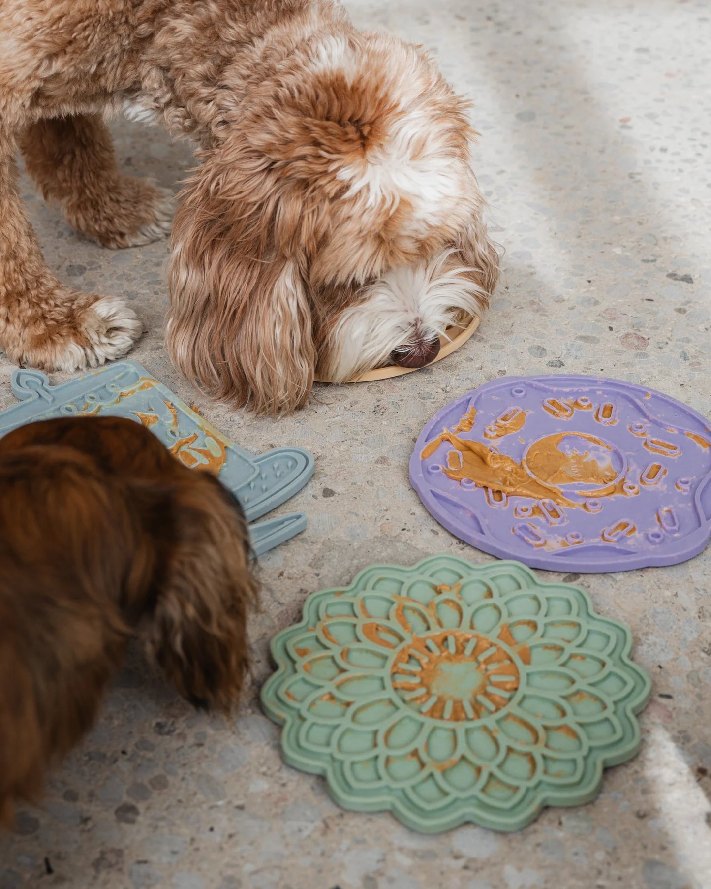 LocalID_70768 Dexypaws - Dog Enrichment Lick Mat Blooming Blossom - SAGE GREEN - 19.5CM (8in)