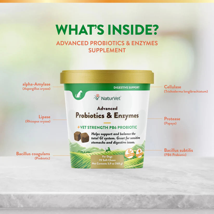 LocalID_70921 NaturVet - Advanced Soft Chew Probiotic & Enzymes - 168GM (5.9oz) - 70CT