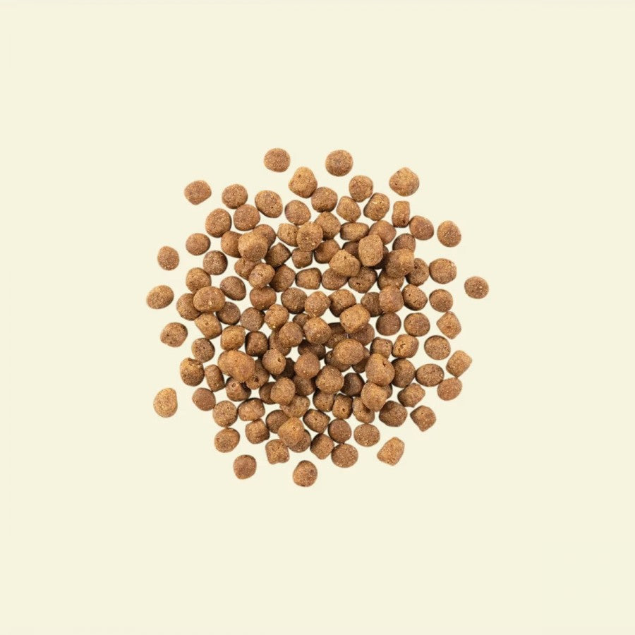 LocalID_64962 Petcurean - NOW TROUT SALMON and HERRING Adult Dry Cat Food - 1.36KG (3lb)