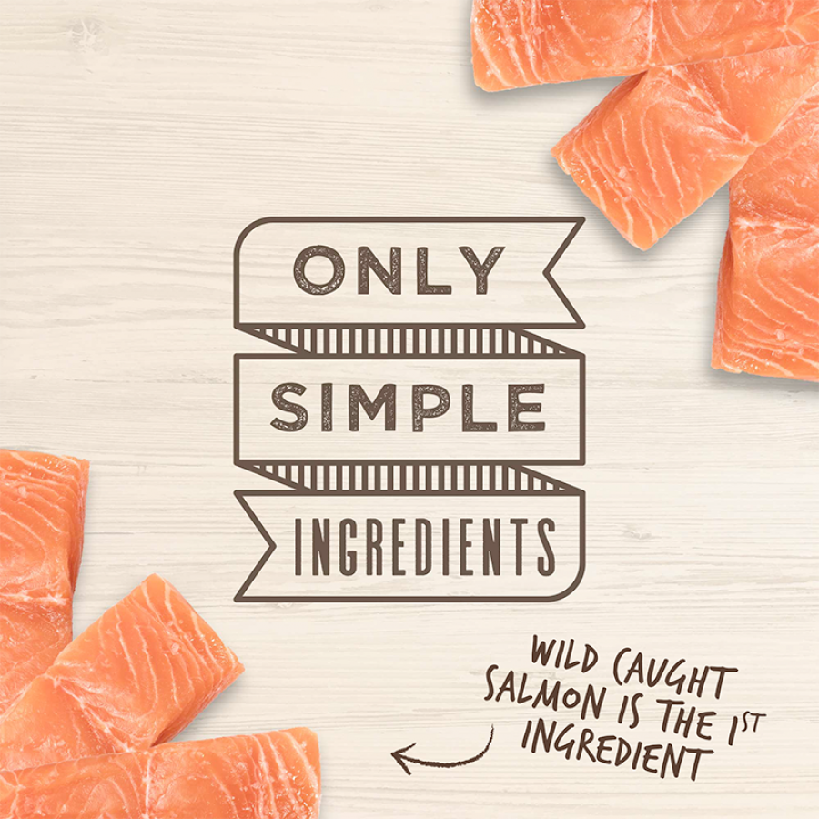 LocalID_66966 Cloud Star - Wag More Bark Less Jerky SMOKED SALMON