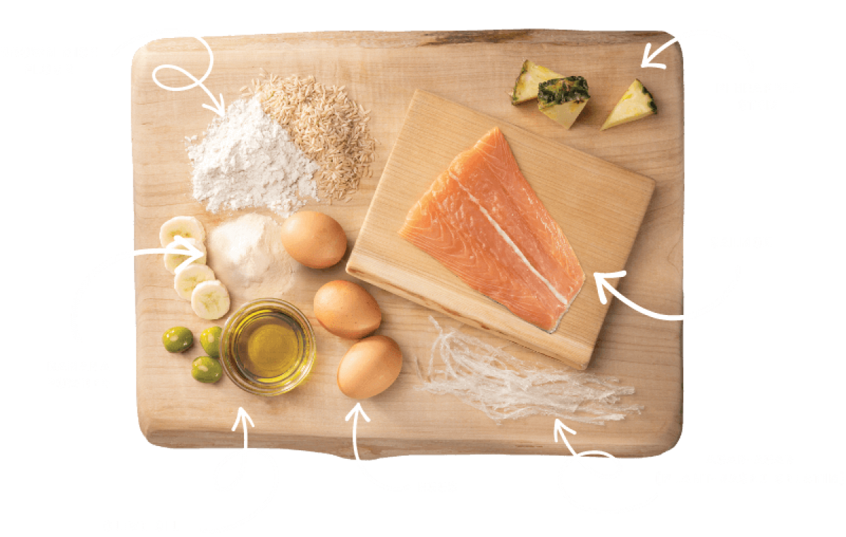 LocalID_68239 Earth Animal - Dog No Hide Chew - Wild Caught SALMON Dog Chew - LARGE - 99GM (3.5oz) - 1PK