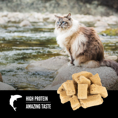 LocalID_65781 Champion Foods - Orijen - Freeze-Dried SIX FISH Cat Treats - 35GM (1.25oz)