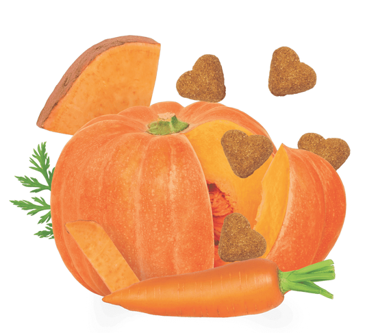 LocalID_68199 Darford - GF PUMPKIN Dog Treat - 340GM (12oz)