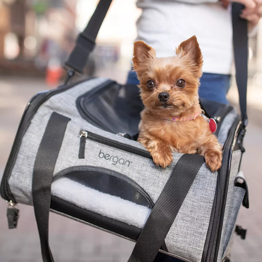 LocalID_71086 Coastal - Bergan Booster Pet Carrier - GREY BLACK - 26.6x30.4x40CM (10.5x12x15.75in)