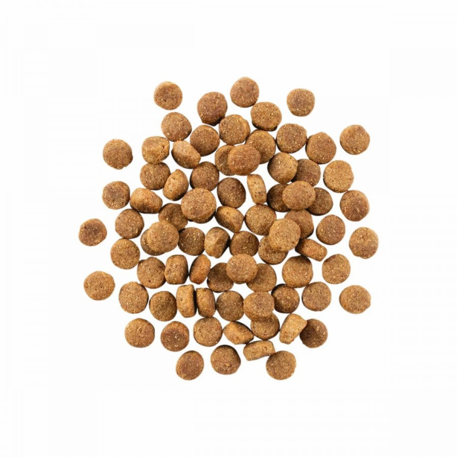 LocalID_67636 Petcurean - GO! Skin and Coat DUCK Dry Dog Food - 9.98KG (22lb)