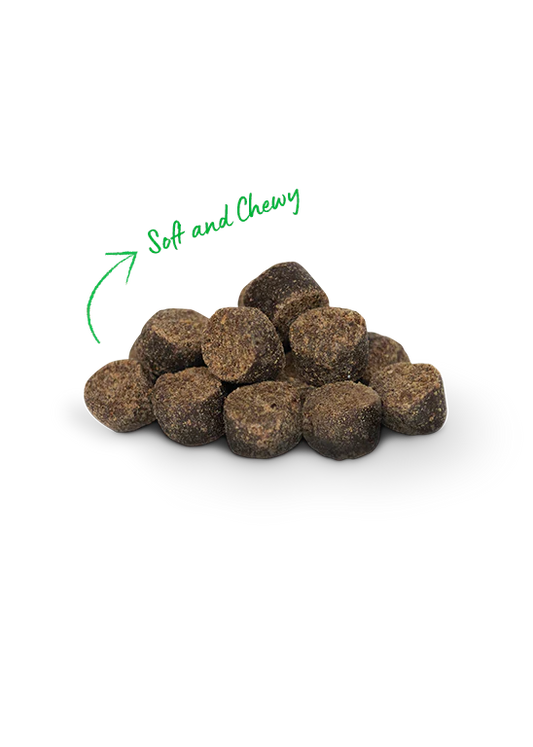 LocalID_68718 Open Farm - Be Good Bites BEEF Dog Treats - 170GM (6oz)