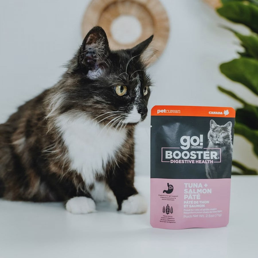 LocalID_68578 Petcurean - GO! Digestive TUNA and SALMON Pate Wet Cat Food - 71GM (2.5oz)