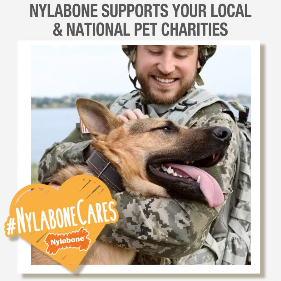 LocalID_68626 Nylabone - Healthy Edibles BACON Dog Chew - XLARGE - 190GM (6.7oz)