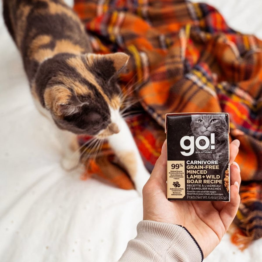 LocalID_65218 Petcurean - GO! Carnivore GF Minced LAMB and BOAR Wet Cat Food - 182GM (6.4oz)