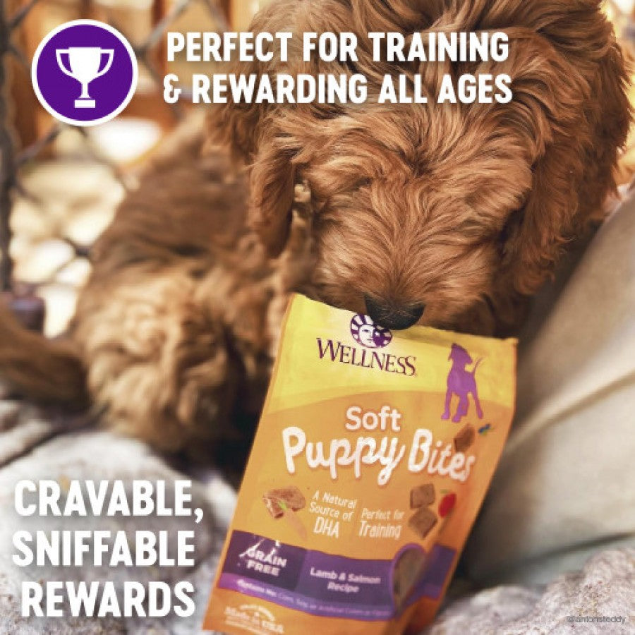LocalID_69038 Wellness - Soft Puppy Bites LAMB and SALMON Dog Treat - 85GM (3oz)
