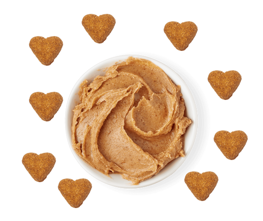 LocalID_68191 Darford - GF PEANUT BUTTER Recipe Dog Treat - 340GM (12oz)