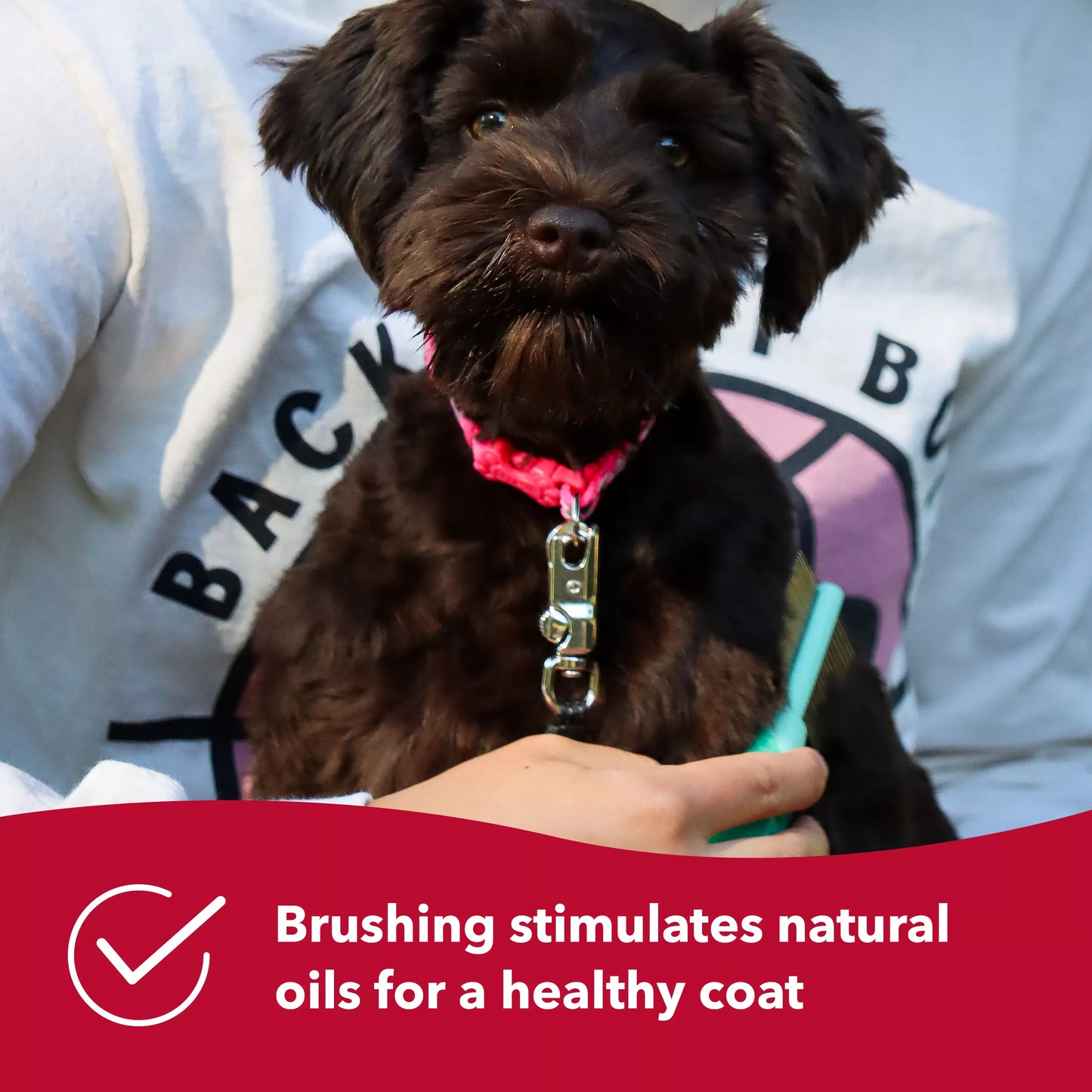 LocalID_70559 Coastal - Li'l Pals Double Side Comb - 13CM (5.2in)