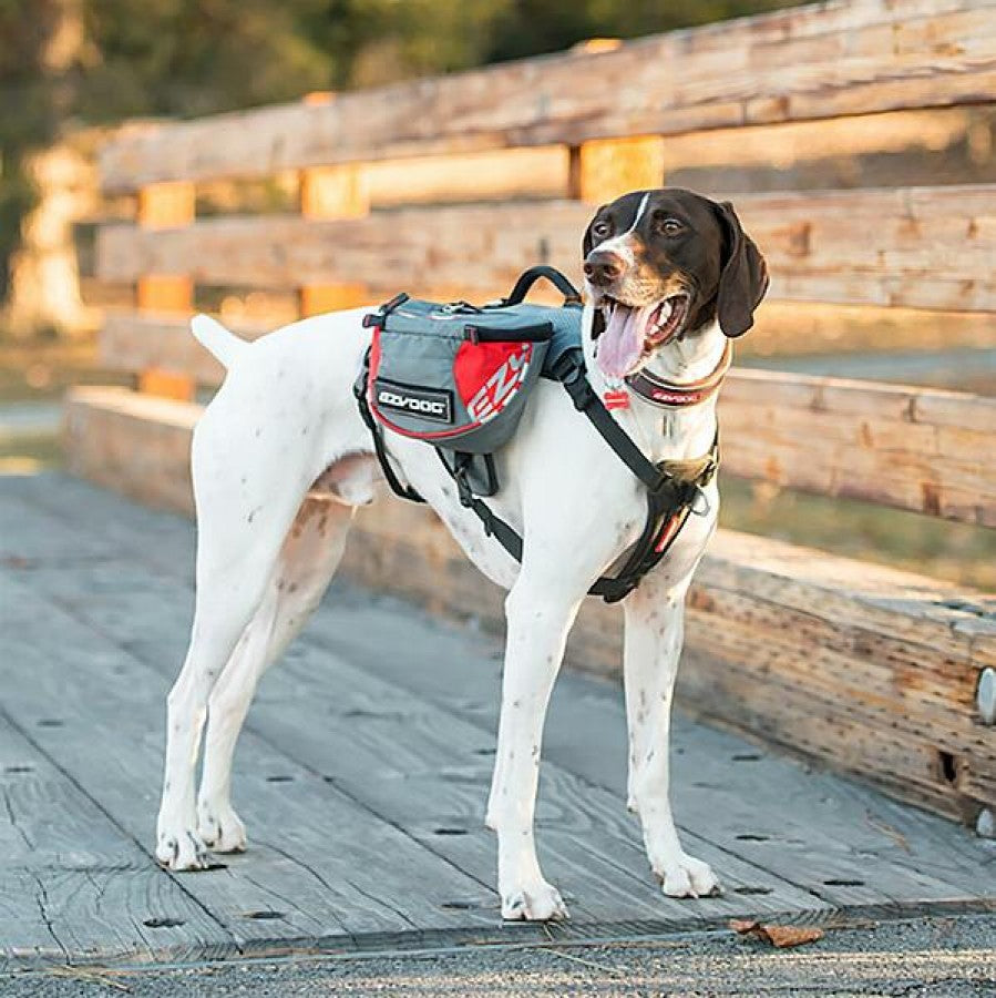 EzyDog - Summit Back Pack - RED and GRAY - MEDIUM