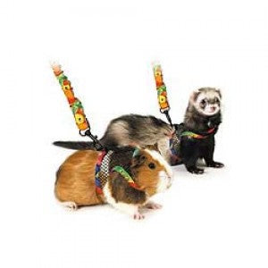 *DNR* Kaytee - Comfort Harness with Stretch Lead - MEDIUM