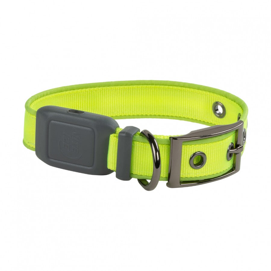 LocalID_44620 Nite Ize - NiteDog Rechargeable LED Collar Lime - Small 30.5-40.6cm (12-16in)