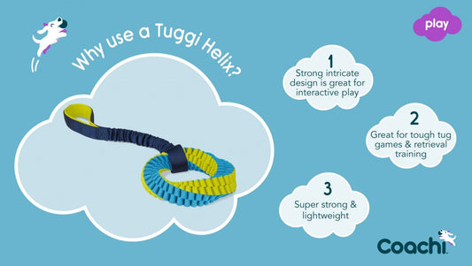 LocalID_70368 Company of Animals - Play Tuggi Helix - 53CM (21in) Long