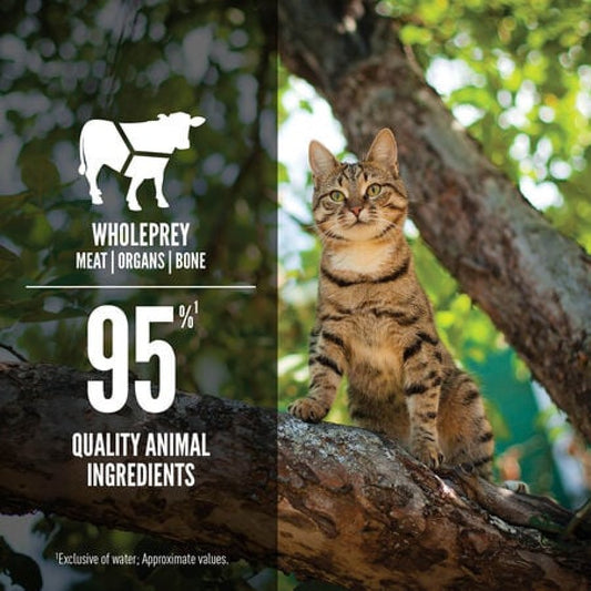 *DNR* Champion Foods - Orijen REGIONAL RED Entrée Wet Cat Food - 155GM (5.5oz)