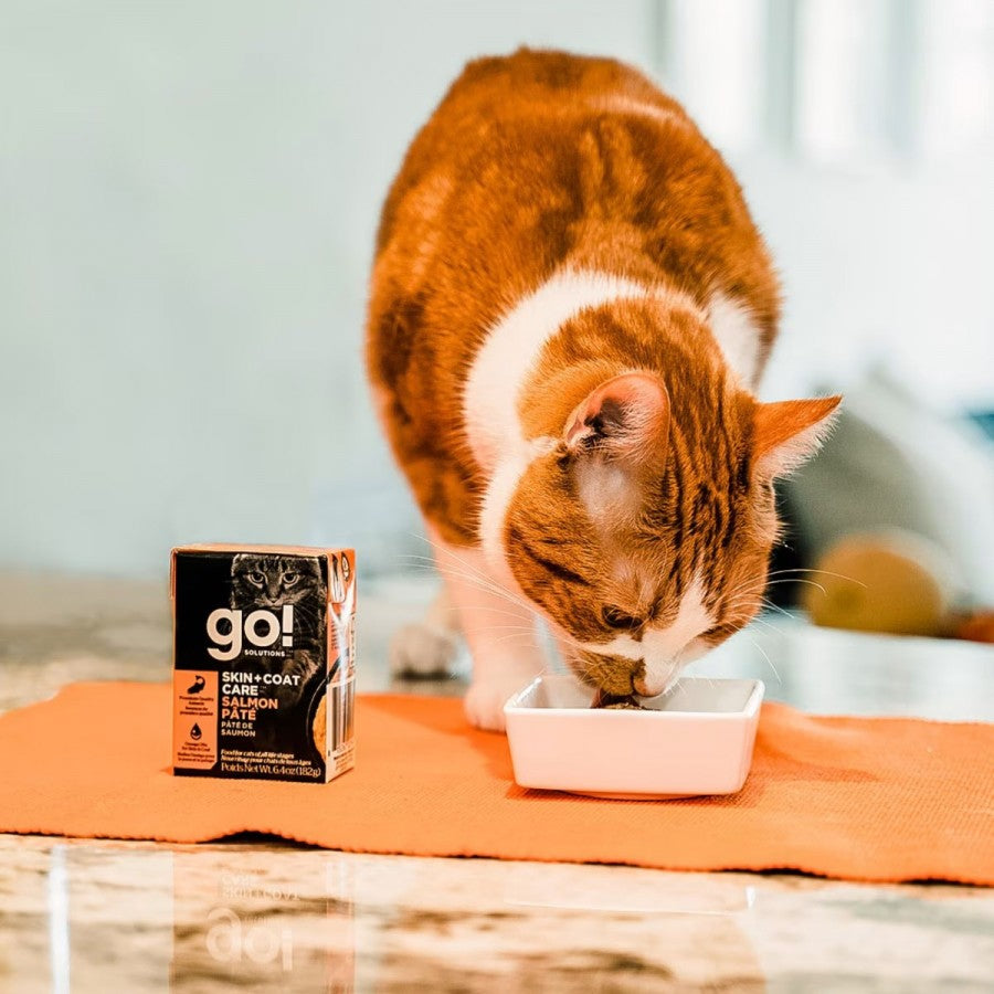 LocalID_65224 Petcurean - GO! Skin and Coat SALMON Pate Wet Cat Food - 182GM (6.4oz)