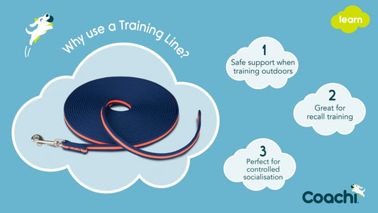 LocalID_70313 Company Of Animals - Coachi - Learn Training Line - NAVY & CORAL - 10M (32.8ft)
