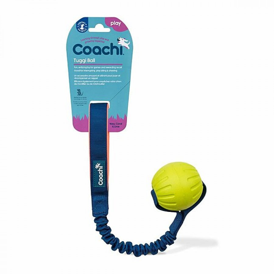 LocalID_71949 Company Of Animals - Coachi - Play Tuggi Ball