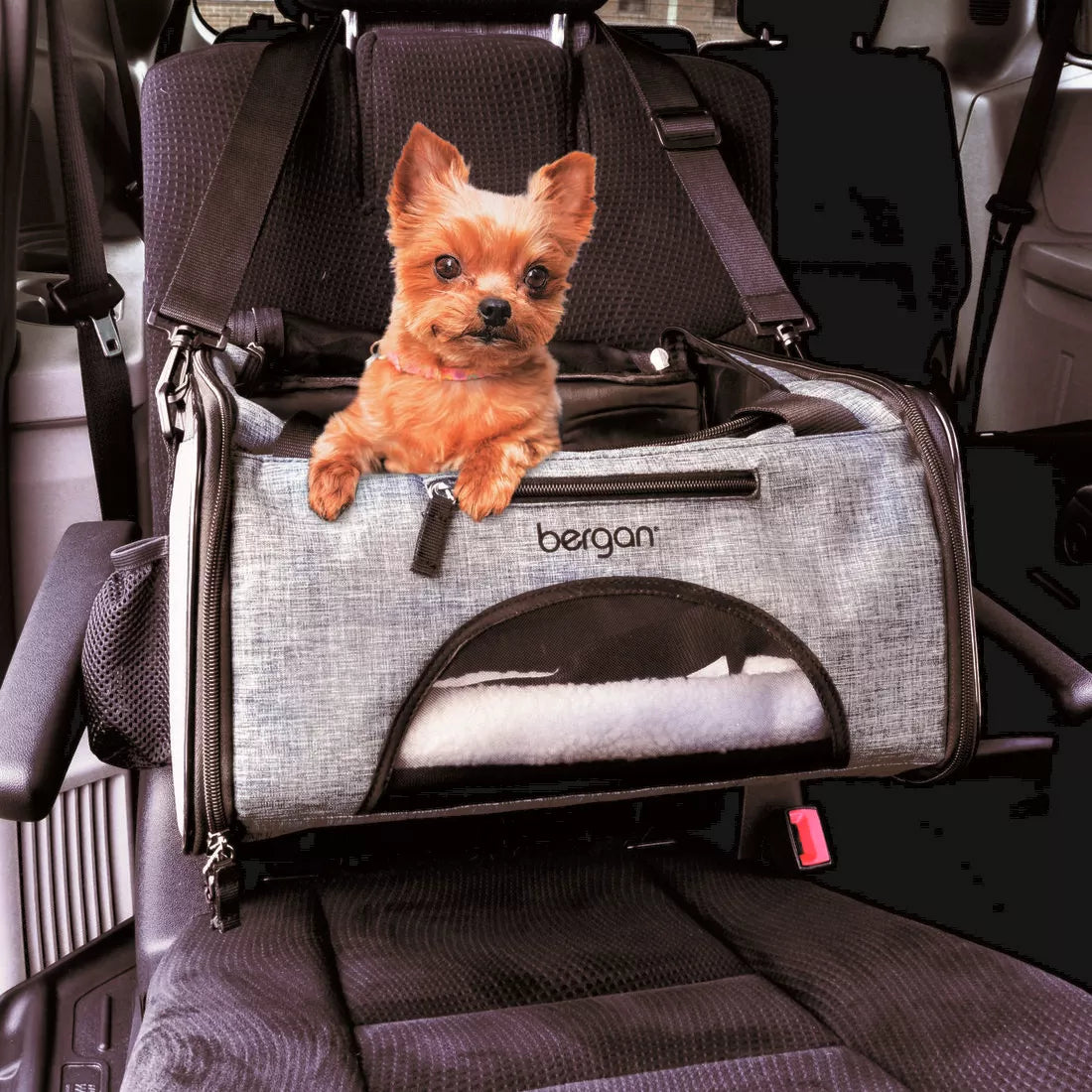 LocalID_71090 Coastal - Bergan Booster Pet Carrier - GREY BLACK - 26.6x30.4x40CM (10.5x12x15.75in)