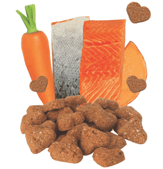LocalID_68204 Darford - GF SALMON Dog Treat - 340GM (12oz)