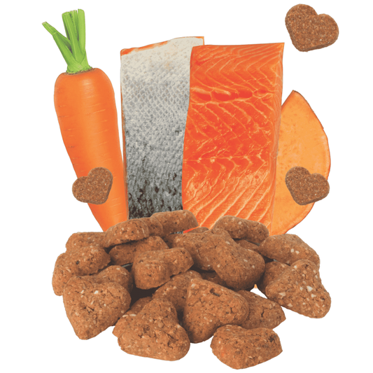 LocalID_68204 Darford - GF SALMON Dog Treat - 340GM (12oz)