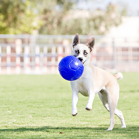 LocalID_66812 Jolly Pets - Soccer Ball Dog Toy - OCEAN BLUE - 15CM (6in)