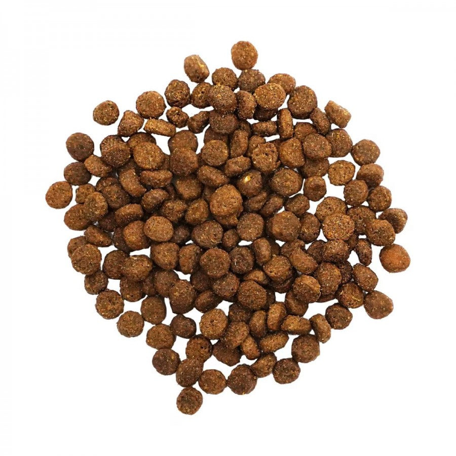 LocalID_67348 Petcurean - GO! Gut Health CHICKEN & ANCIENT GRAINS Dry Cat Food - 2.72KG (6lb)