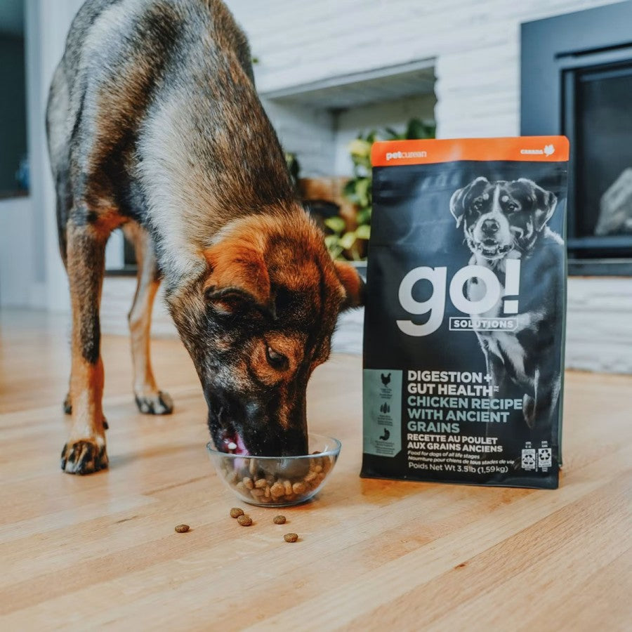 LocalID_67759 Petcurean - Go! Gut Health CHICKEN & ANCIENT GRAINS Dry Dog Food - 5.44KG (12lb)