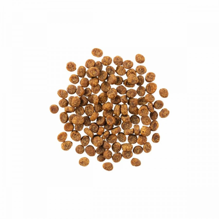 LocalID_64912 Petcurean - GO! Sensitivities LID GF SALMON