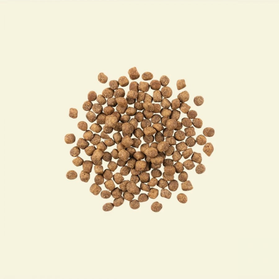 LocalID_64987 Petcurean - NOW TURKEY SALMON & DUCK Senior Dry Cat Food - 3.63KG (8lb)