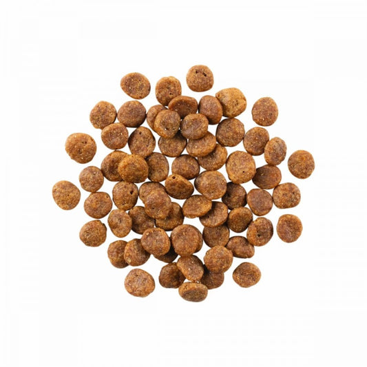 LocalID_67794 Petcurean - GO! Sensitivities GF LID TURKEY Dry Dog Food - 9.98KG (22lb)