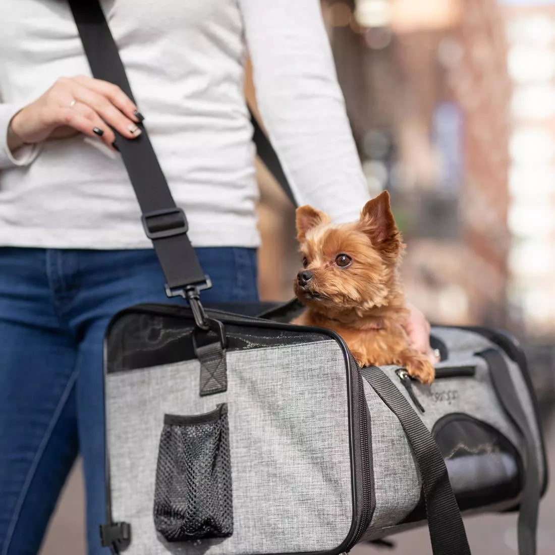 LocalID_71088 Coastal - Bergan Booster Pet Carrier - GREY BLACK - 26.6x30.4x40CM (10.5x12x15.75in)