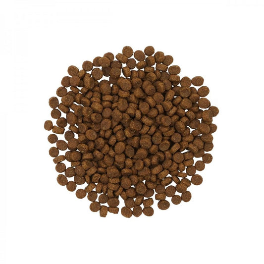 LocalID_64907 Petcurean - GO! Sensitivities LID GF INSECT Dry Cat Food - 1.36KG (3lb)