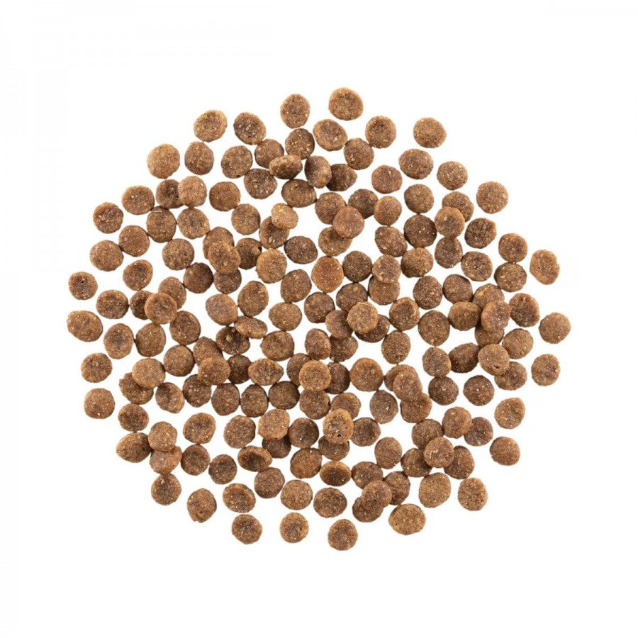 LocalID_64903 Petcurean - GO! Hairball & Urinary CHICKEN with GRAINS Dry Cat Food - 1.36KG (3lb)