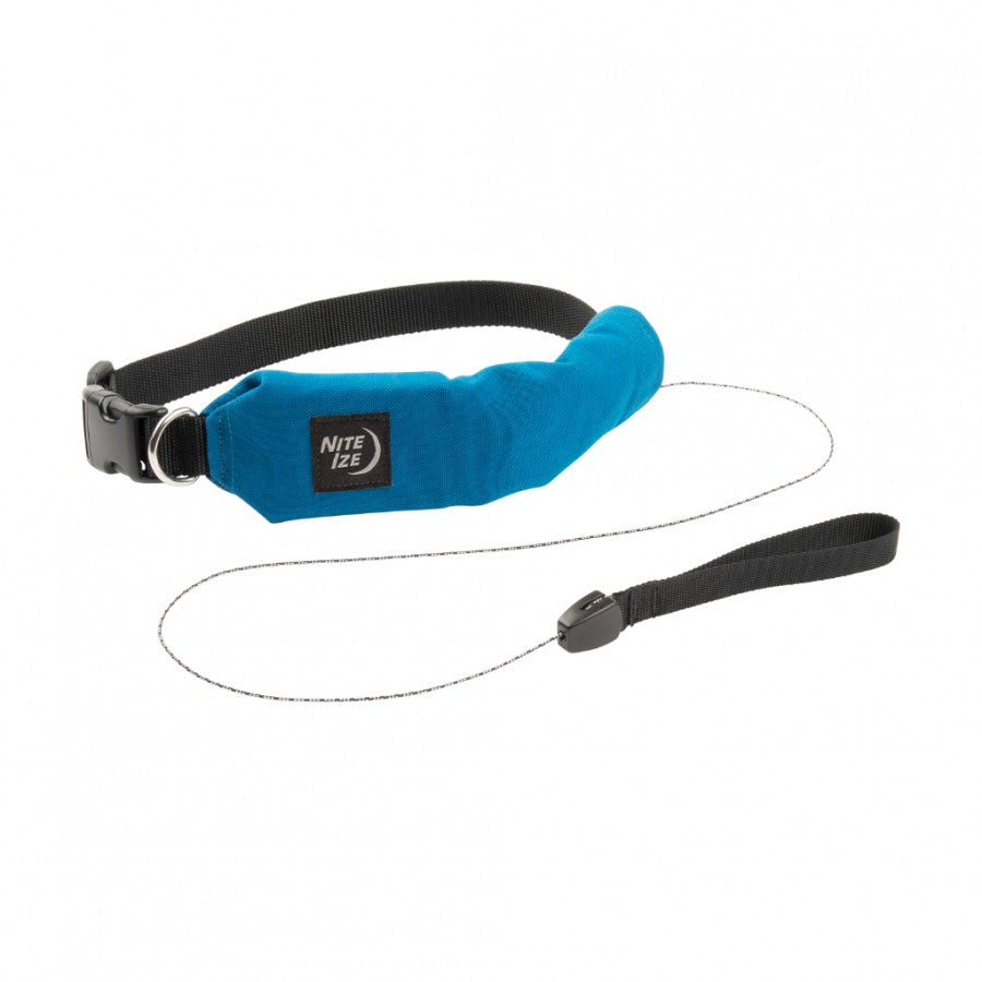 LocalID_44628 Nite Ize - RadDog All-In-One Collar/Leash Blue - Small 35.5-41cm (14-16in)