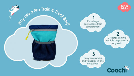LocalID_70371 Company of Animals - Tricks PRO Train & Treat Bag - Navy & Light Blue - 22CM (8.75in) Tall