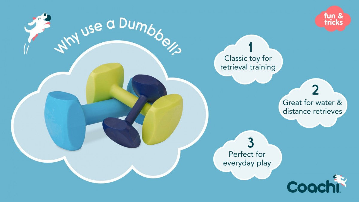 LocalID_70383 Company of Animals - Tricks Training Dumbbell - MEDIUM - 14.5CM (5.75in) Long
