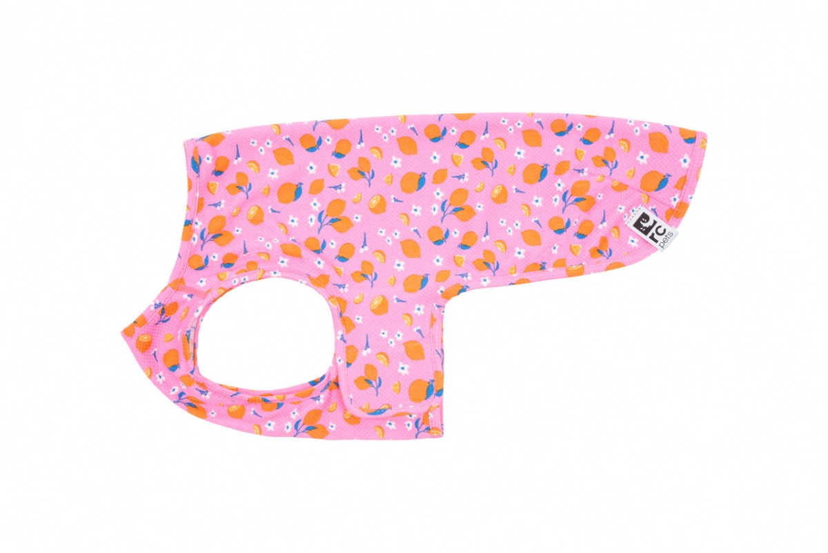 LocalID_71332 RC Pets - Zephyr Cooling Vest - ZESTY - XLARGE - 61CM (24in)