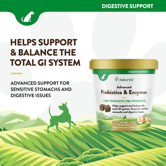 LocalID_70918 NaturVet - Advanced Soft Chew Probiotic & Enzymes - 168GM (5.9oz) - 70CT
