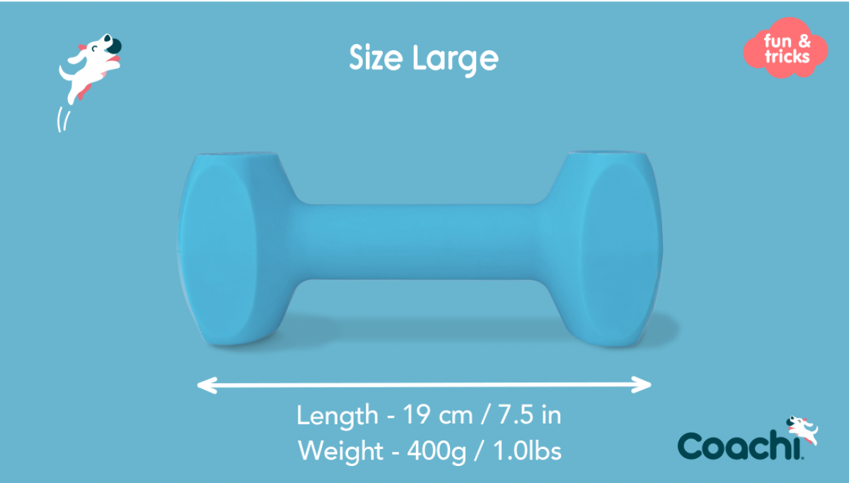 LocalID_70385 Company of Animals - Tricks Training Dumbbell - MEDIUM - 14.5CM (5.75in) Long
