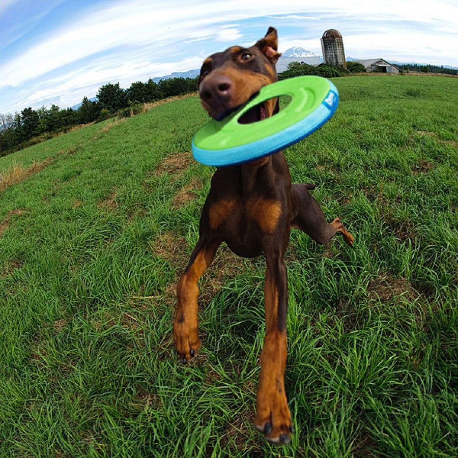 LocalID_69667 Chuckit! - Zipflight Dog Toy - SMALL - 15.5CM (6in)