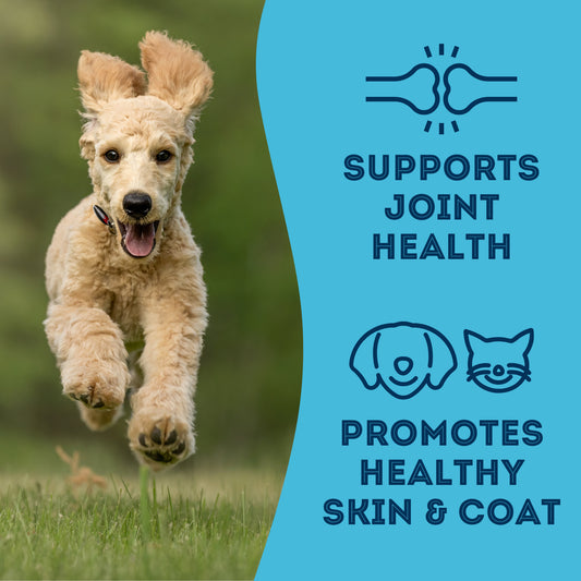 LocalID_68279 Granville Island - With Love and Fishes SARDINE Dog Treats - 210GM (7.4oz)