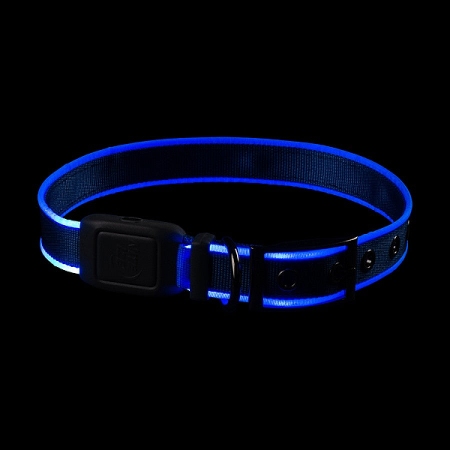 LocalID_66541 Nite Ize - NiteDog Rechargeable LED Collar - BLUE - LARGE