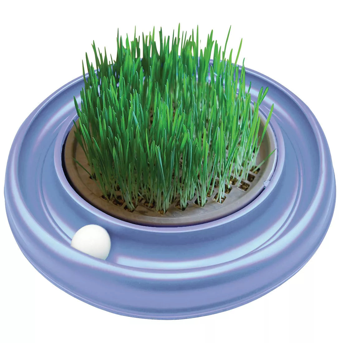 LocalID_69219 Coastal - Turbo Cat Grass Insert - 25.4CM (10in)