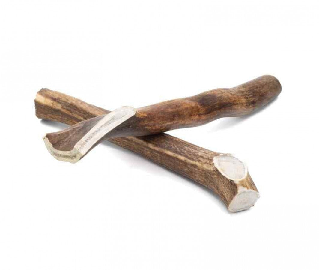 LocalID_64392 Furever Pure - Solid ELK ANTLER Dog Chew - X-LARGE