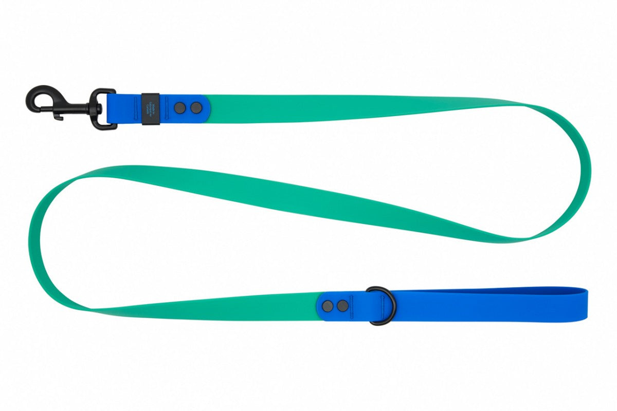 LocalID_66587 RC Pets - Waterproof Leash - PARAKEET SAPPHIRE