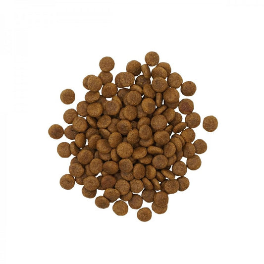 LocalID_67778 Petcurean - GO! Sensitivities GF LID INSECT Dry Dog Food - 9.98KG (22lb)